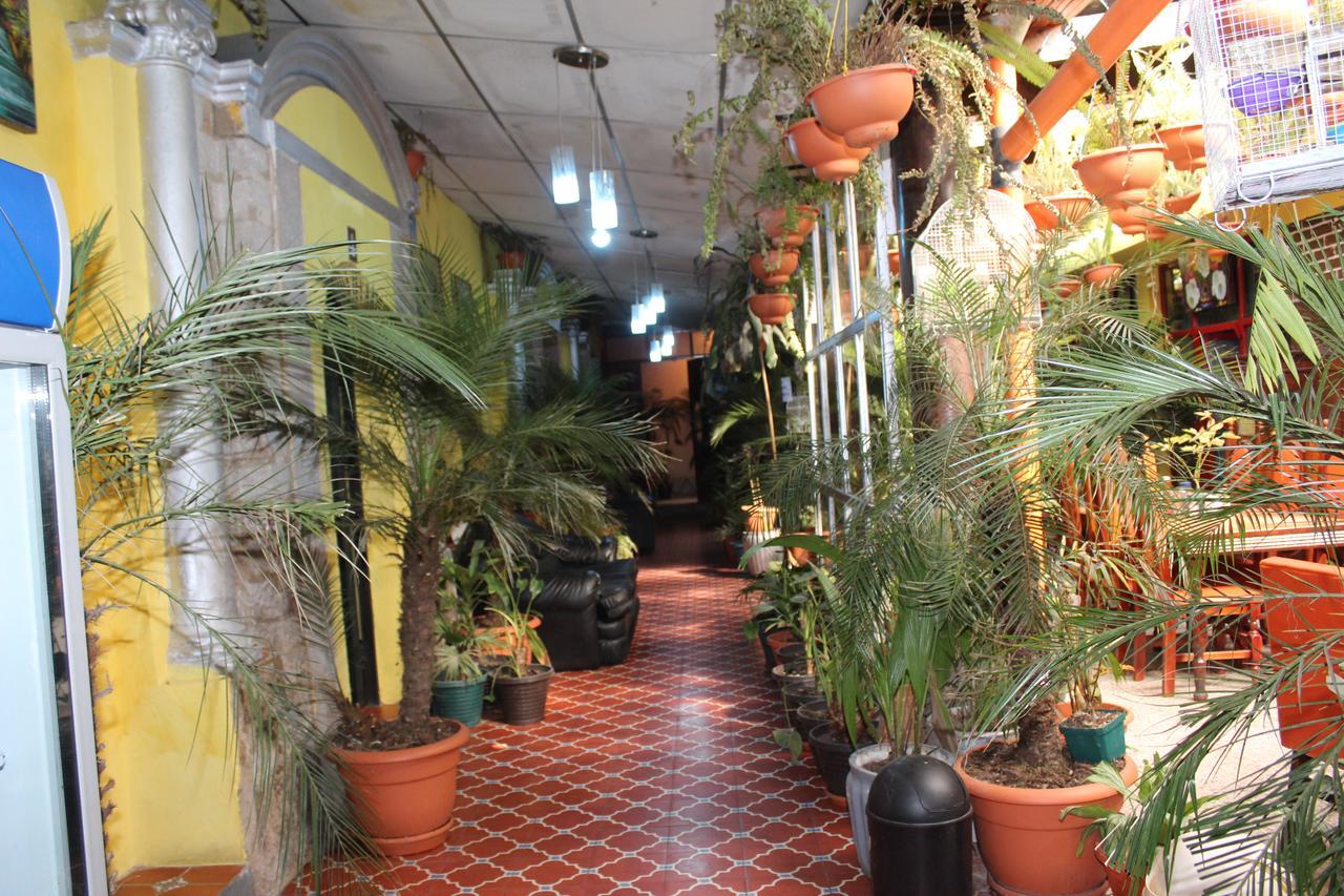 קצאלטננגו Hotel Casa Del Viajero מראה חיצוני תמונה